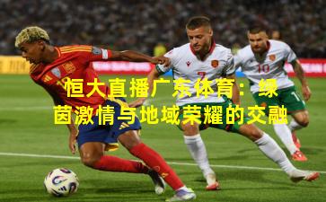 恒大直播广东体育:绿茵激情与地域荣耀的交融