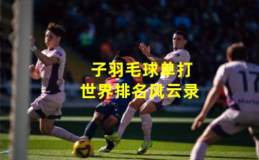  子羽毛球单打世界排名风云录