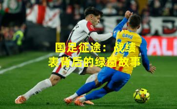 国足征途：战绩表背后的绿茵故事